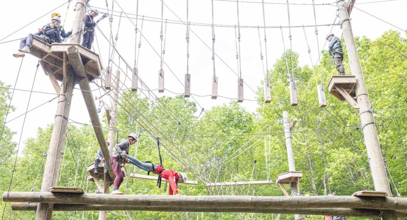 A few people wearing safety gear are secured by ropes as they make their way through a high ropes obstacle course. From the ground, others watch. 